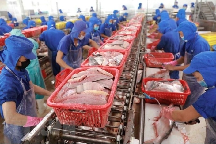 Seafood exports to Brazil soar, topping all markets in first half of 2025